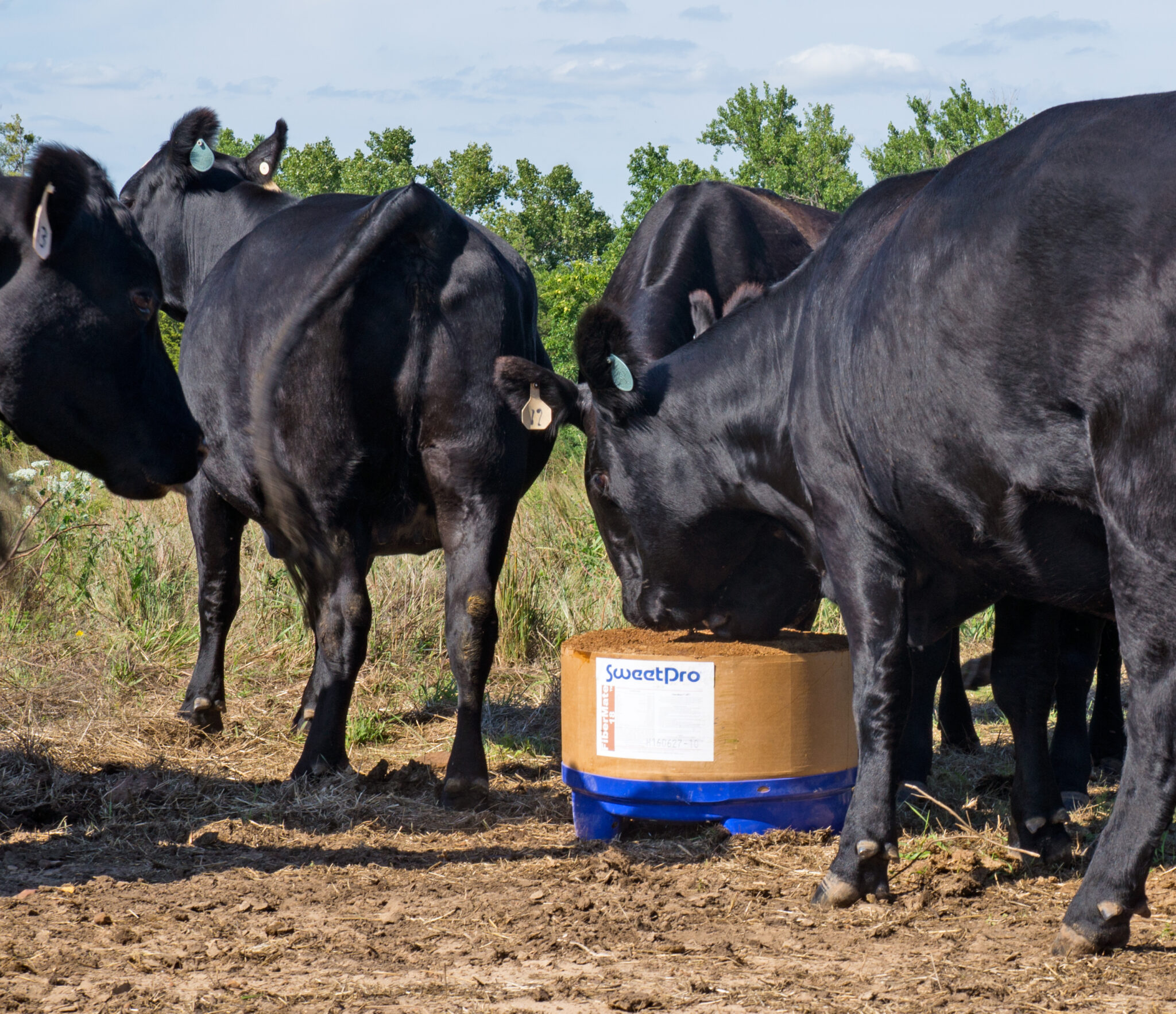 FiberMate™ 18 SweetPro