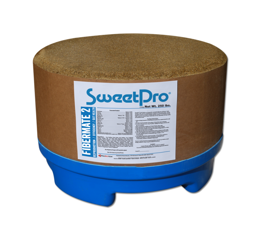 FiberMate 2 (SweetPro 16)